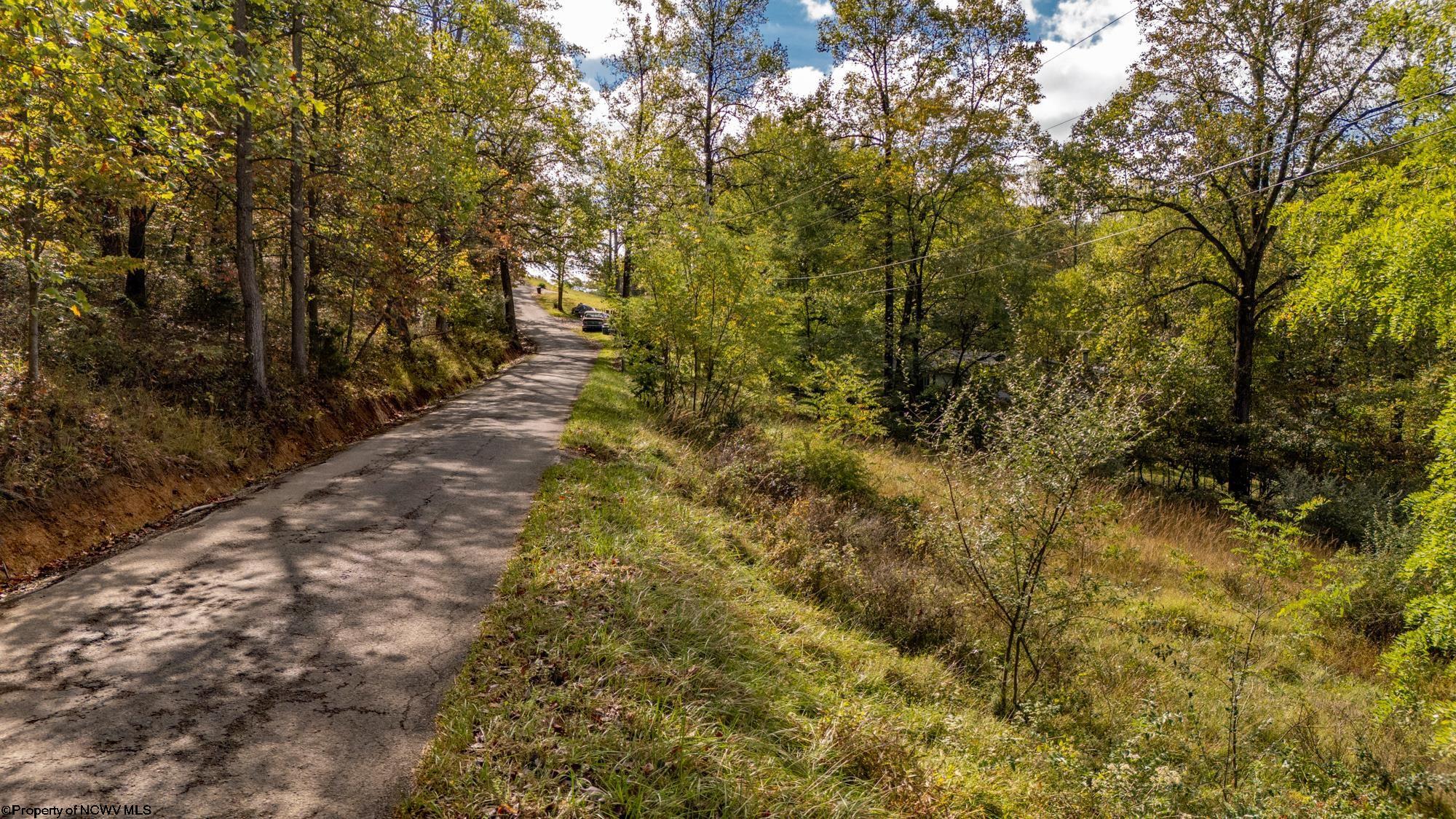 Tbd Morgan Ridge Road Fairmont, WV 26554 - Photo 4 of 5 Gallery Image 4