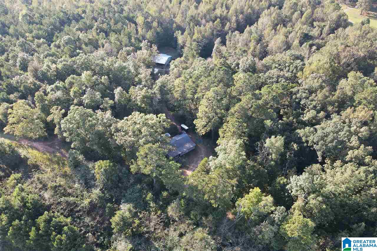 720 Valley Road Talladega, AL 35160 - Photo 33 of 38