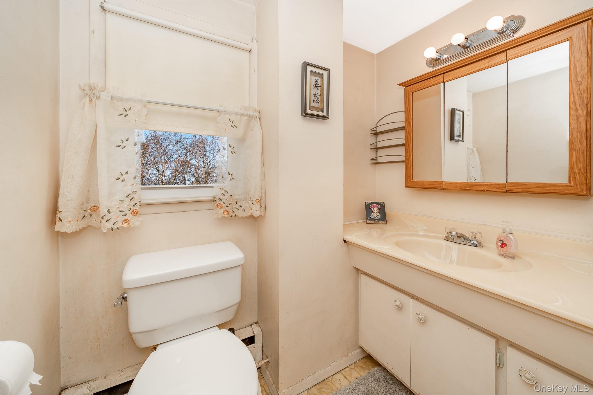 3683 Hawk Road Levittown, NY 11756 - Photo 21 of 41 a bathroom with a toilet sink and mirror