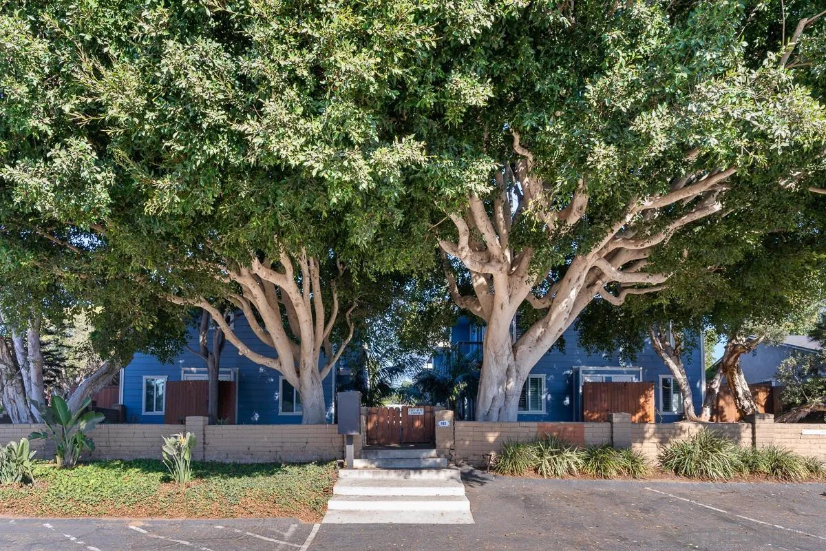 981 North Vulcan Avenue, Unit 4 Encinitas, CA 92024 - Photo 24 of 24 a tree in front of a brick house with a large tree