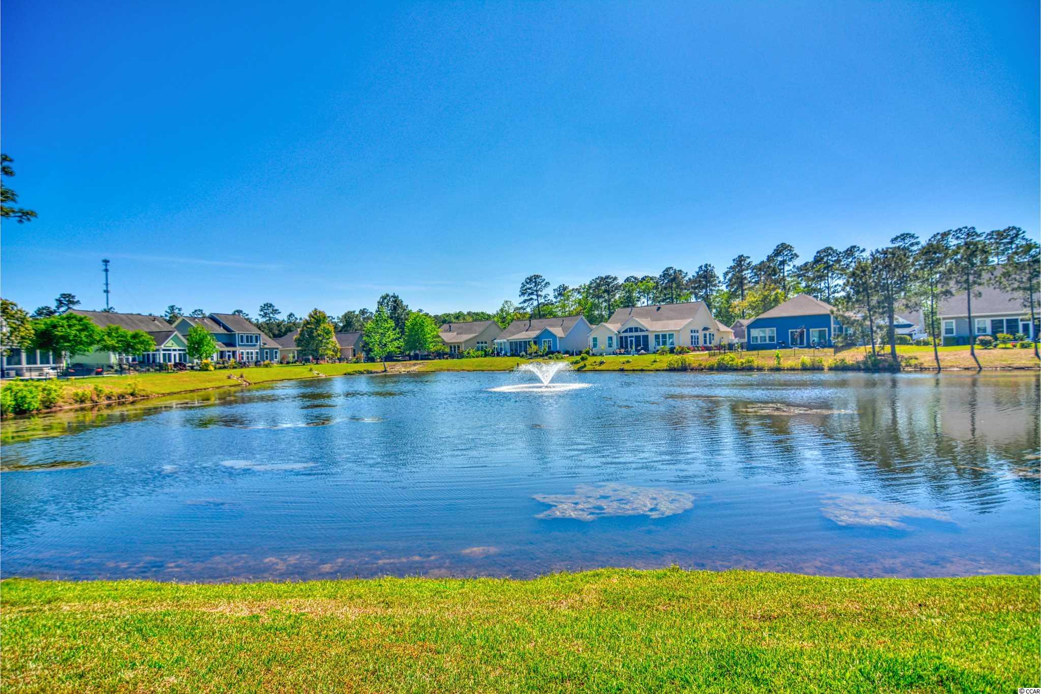 141 Summerlight Drive Murrells Inlet, SC 29576 - Photo 37 of 37 Gallery Image 37
