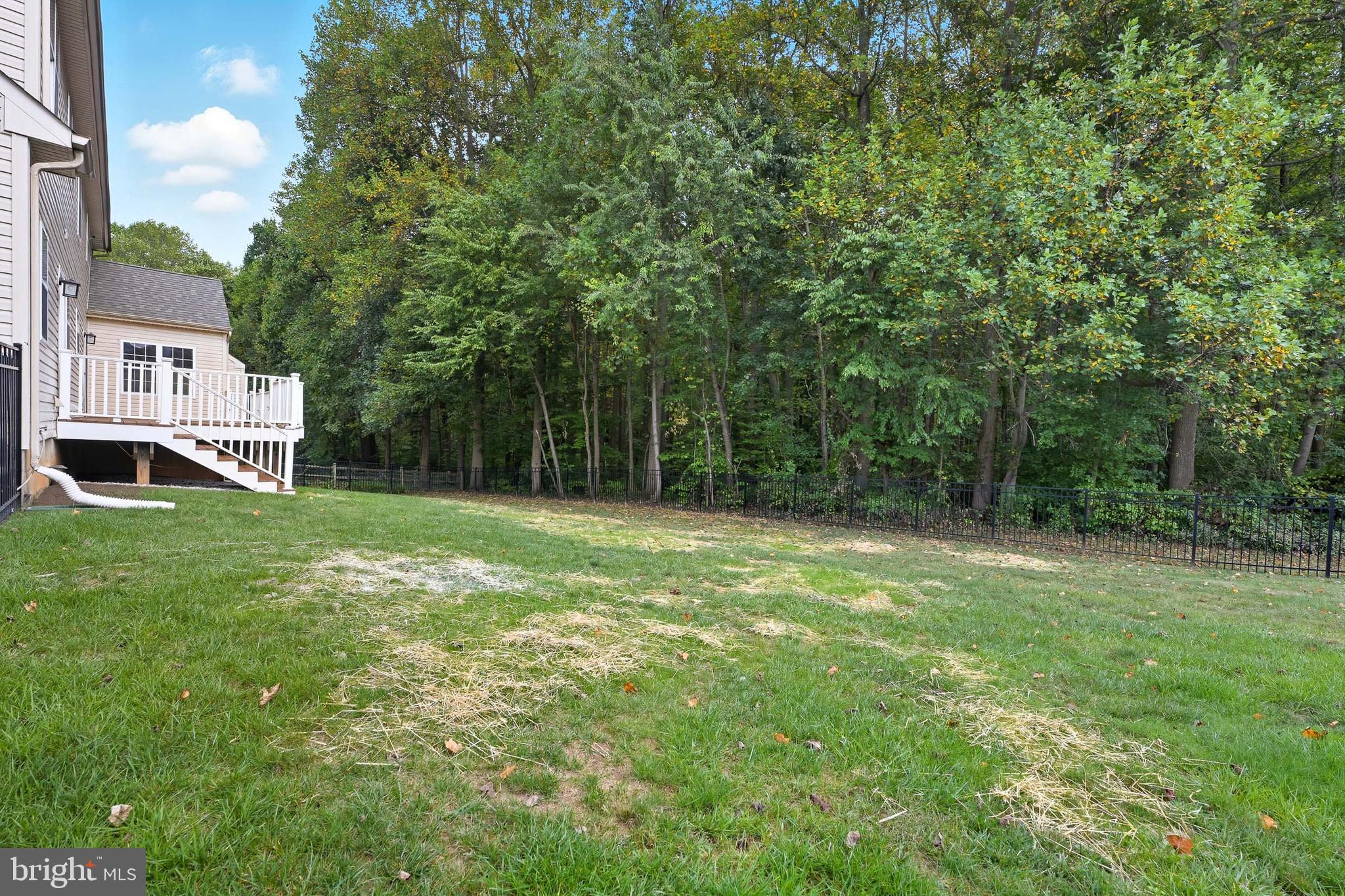 1 Michael Townsend Court Newark, DE 19702 - Photo 42 of 47 Backyard