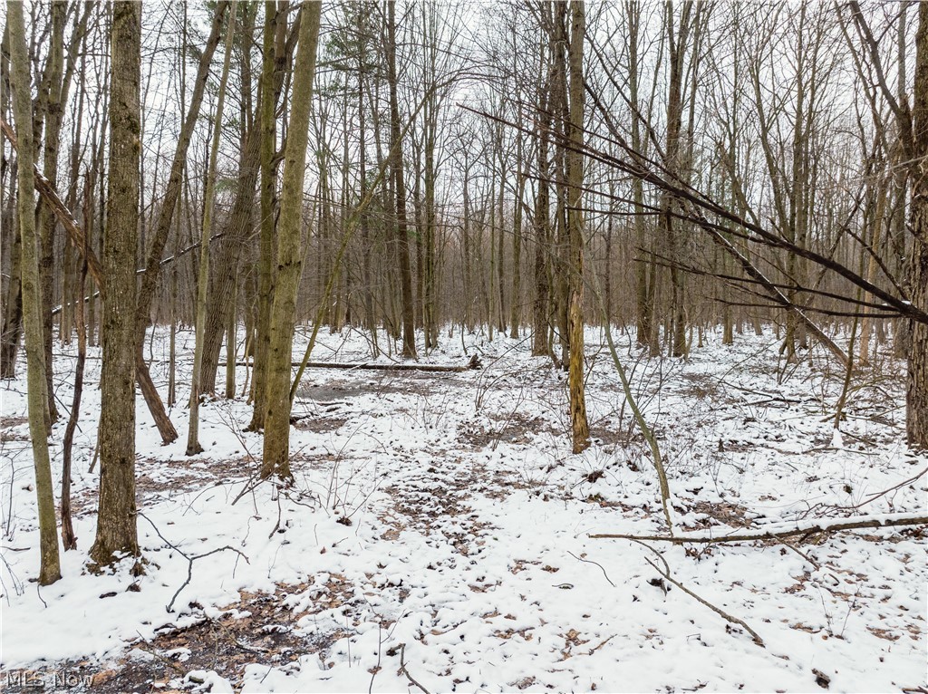 Slater Road Williamsfield, OH 44093 - Photo 10 of 14