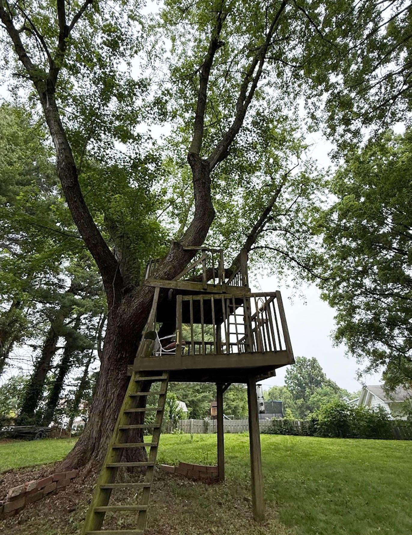 308 Lockville Road Pickerington, OH 43147 - Photo 18 of 24 Treehouse