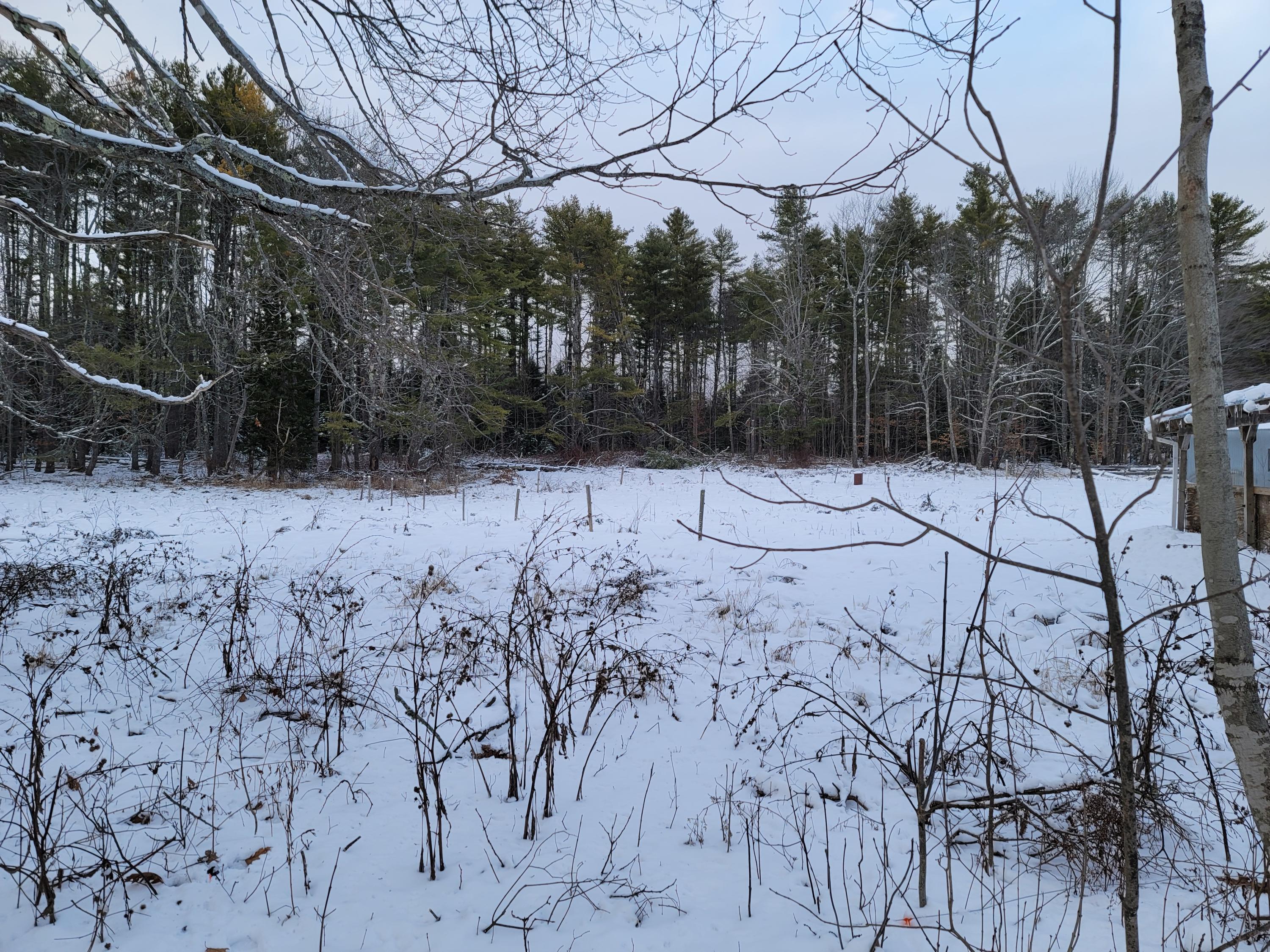 300 Corinth Road Garland, ME 04939 - Photo 66 of 66 20201209_151447