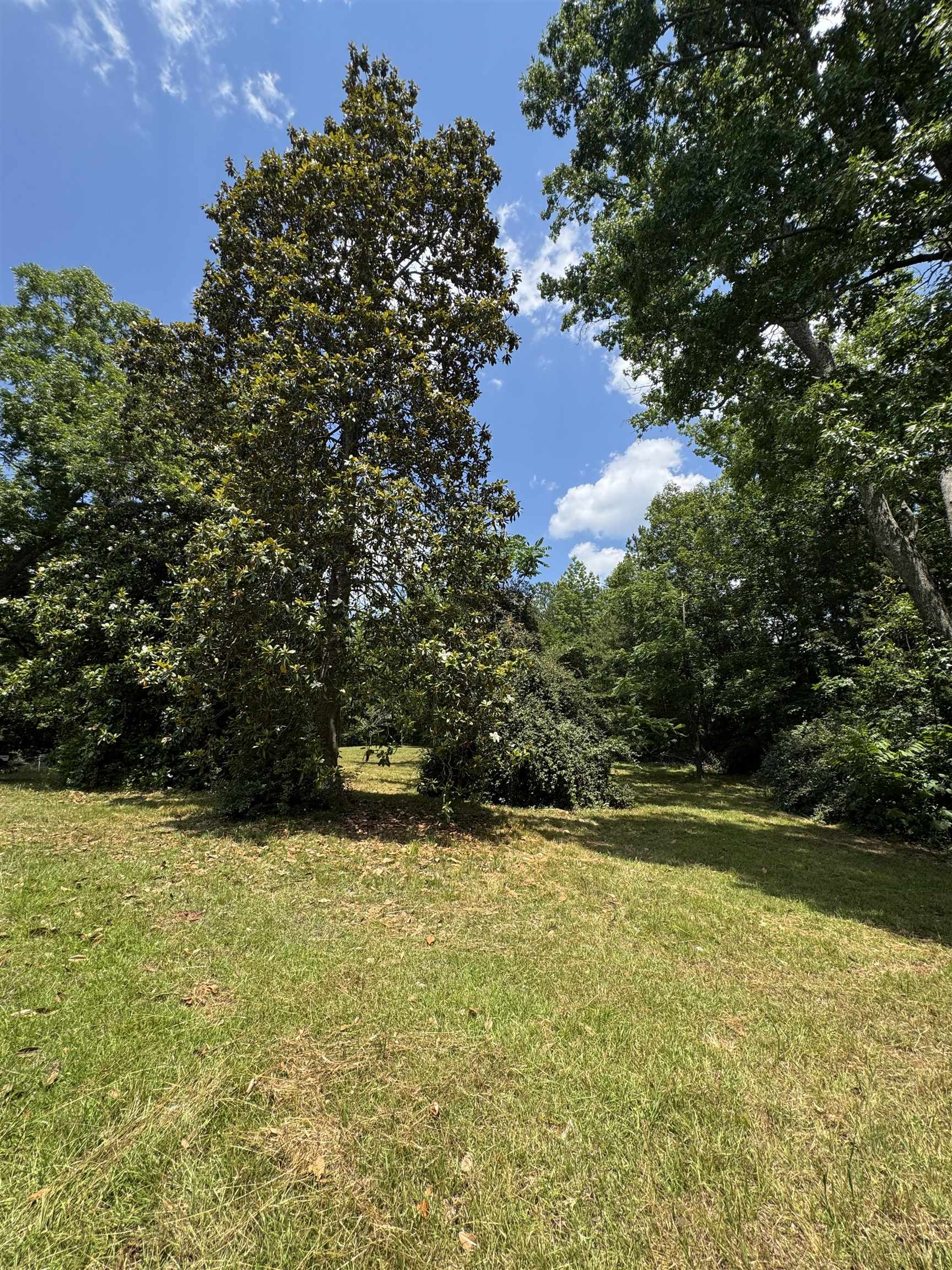 246 Lee Road Jonesville, SC 29353 - Photo 8 of 38
