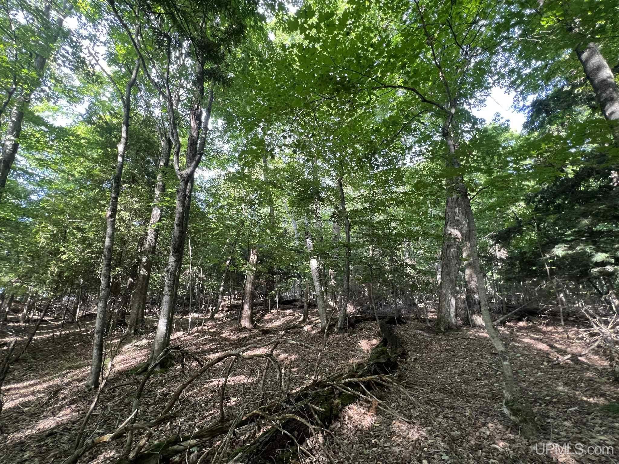 Tbd II Road Garden, MI 49835 - Photo 28 of 42