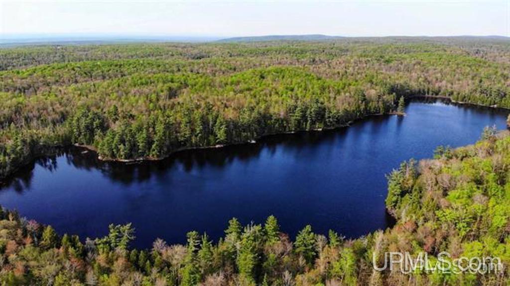 Tbd Tbd Durchman Lake Road Lanse, MI 49946 - Photo 7 of 56