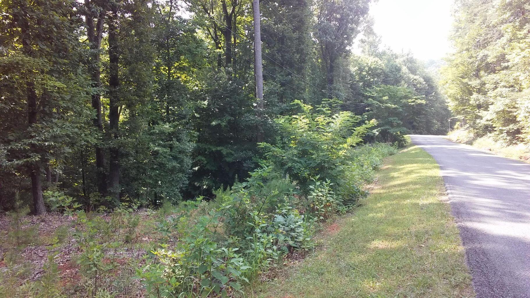 Lot 65 Gap Bridge Road Moneta, VA 24121 - Photo 2 of 5 a view of a yard with plants and trees