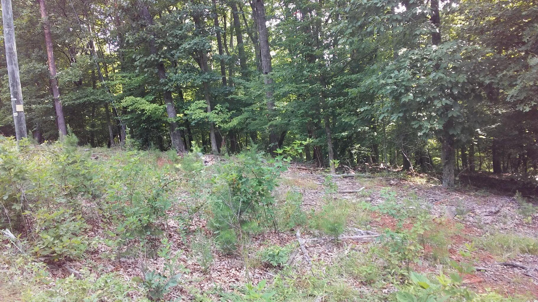 Lot 65 Gap Bridge Road Moneta, VA 24121 - Photo 5 of 5 a backyard of a house with lots of green space