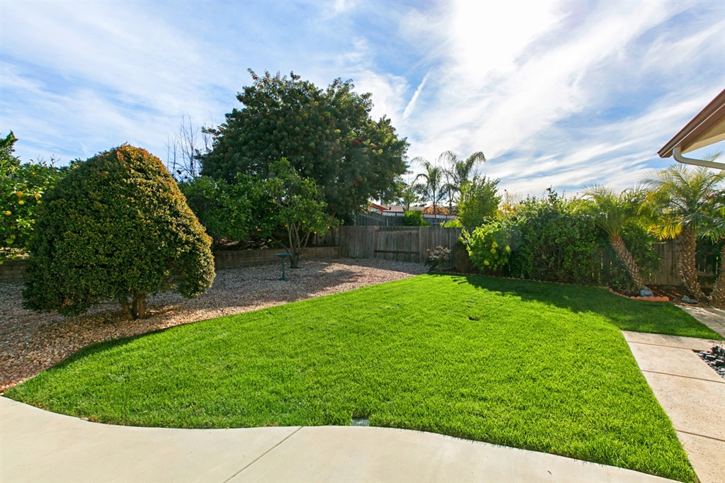 1440 Panorama Ridge Road Oceanside, CA 92056 - Photo 17 of 19 Brilliant Back yard