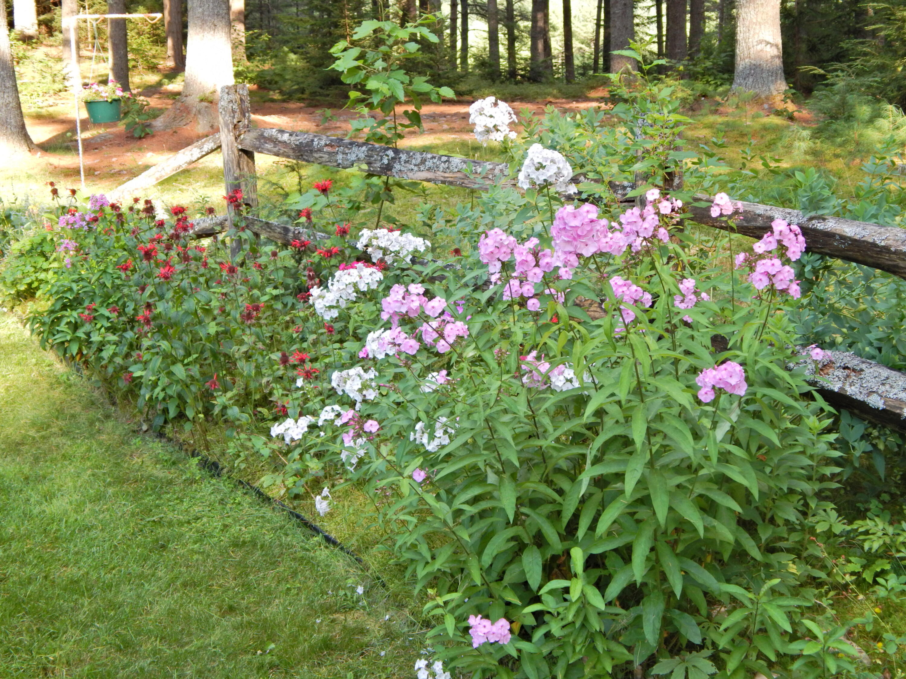 85 Linscott Road Brownfield, ME 04010 - Photo 39 of 39 DSCN8256