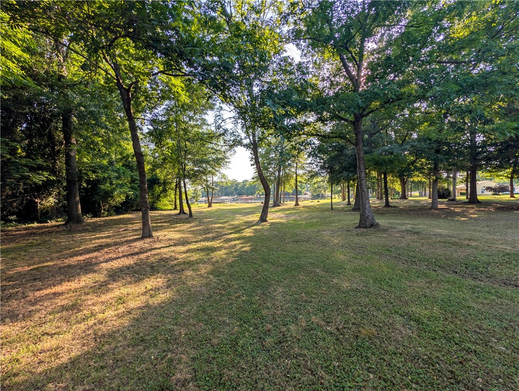 1504 Double Springs Road Townville, SC 29689 - Photo 41 of 41 Mature trees shade a verdant lawn leading to distant water views.