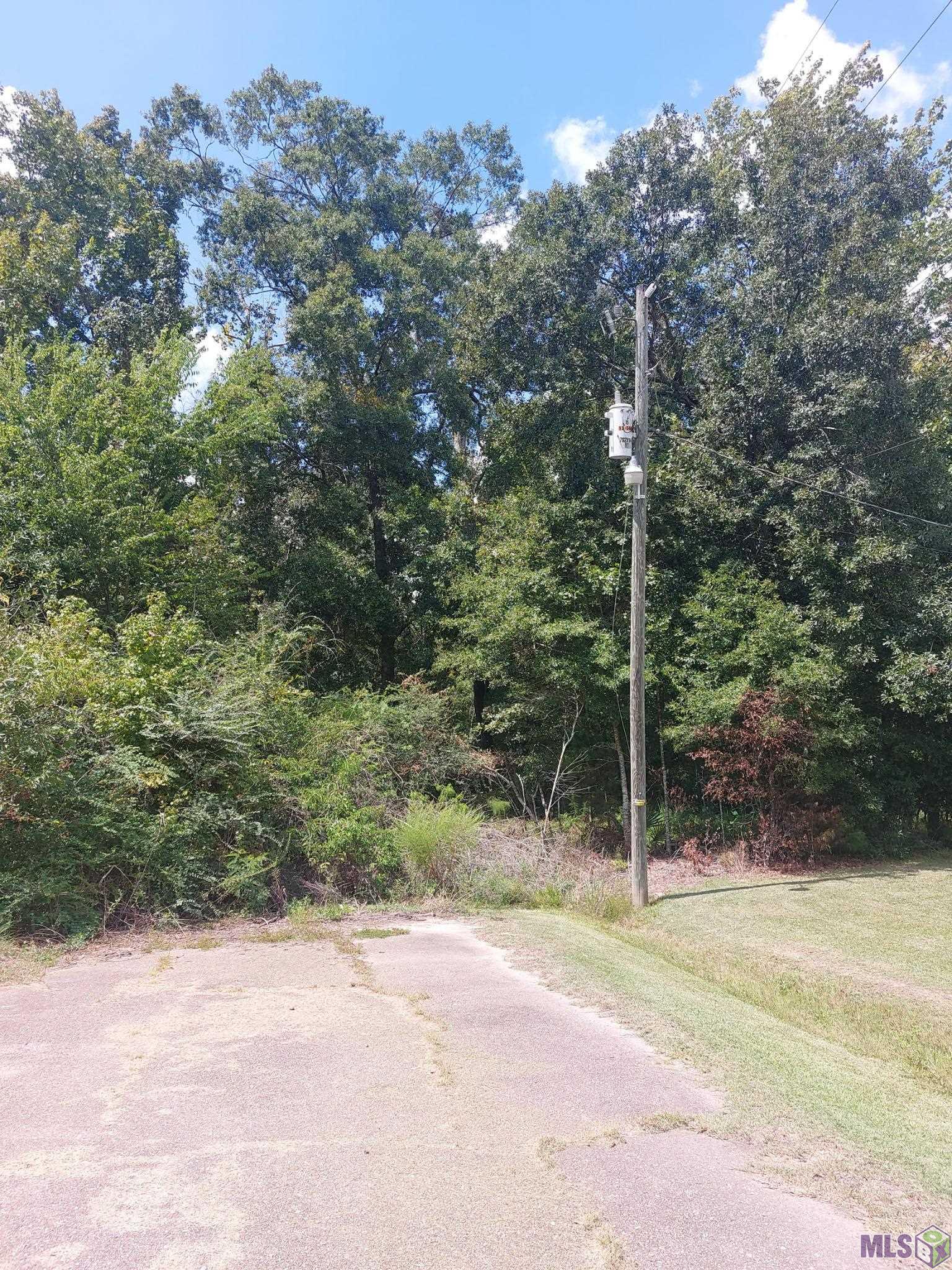 0 Old Winchester Road Denham Springs, LA 70706 - Photo 4 of 5