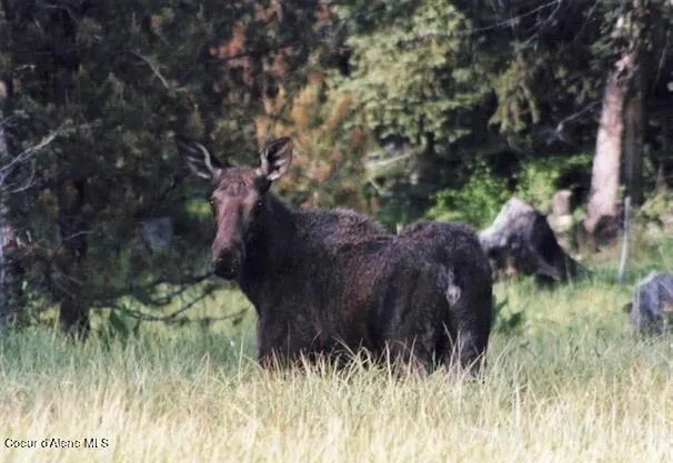 $518,000 | 23003 Deer Creek Road, Winchester, ID 83555