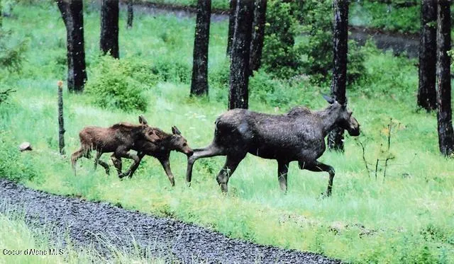 $518,000 | 23003 Deer Creek Road, Winchester, ID 83555