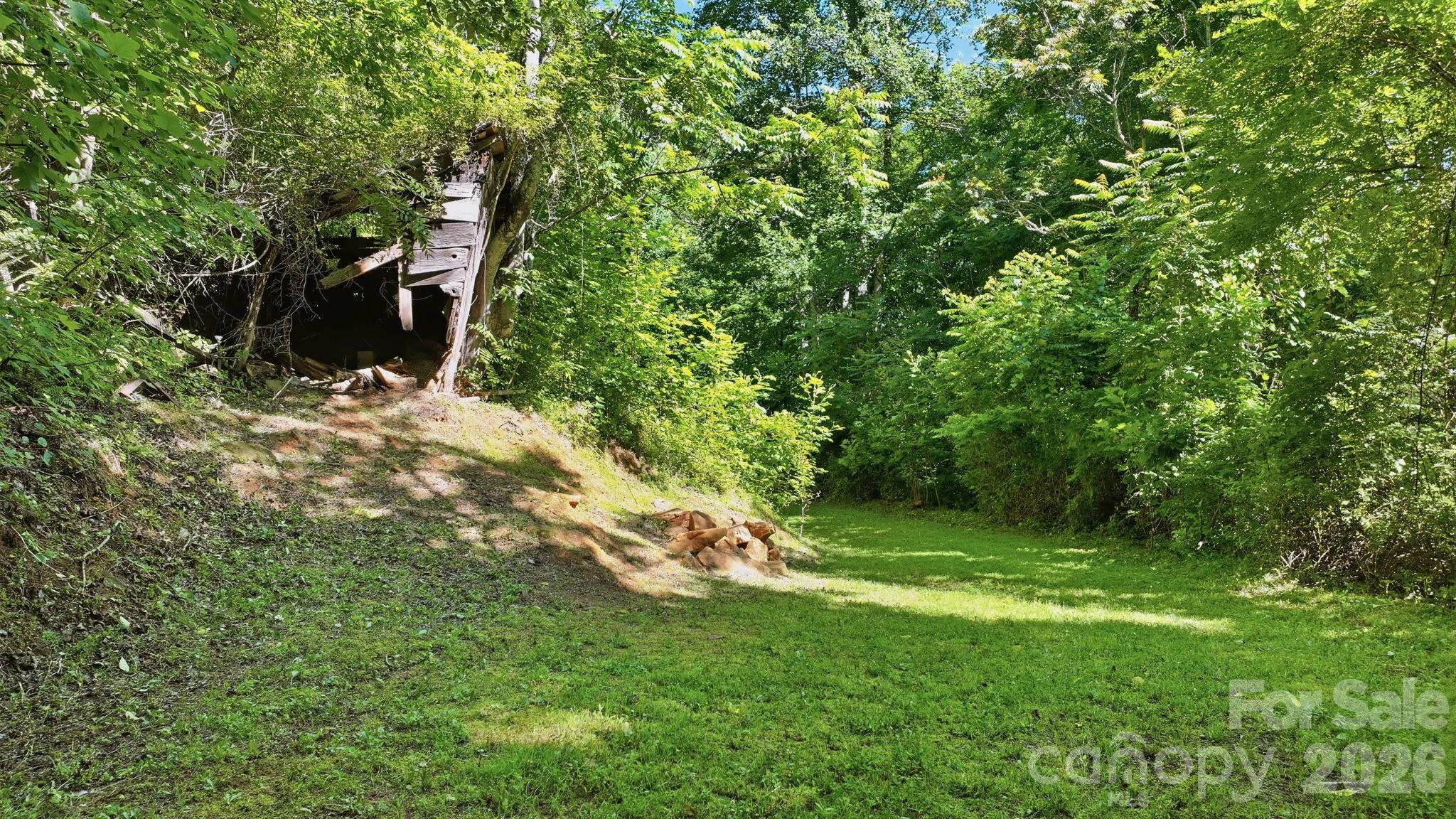 Tbd Dark Ridge Road Sylva, NC 28779 - Photo 7 of 17