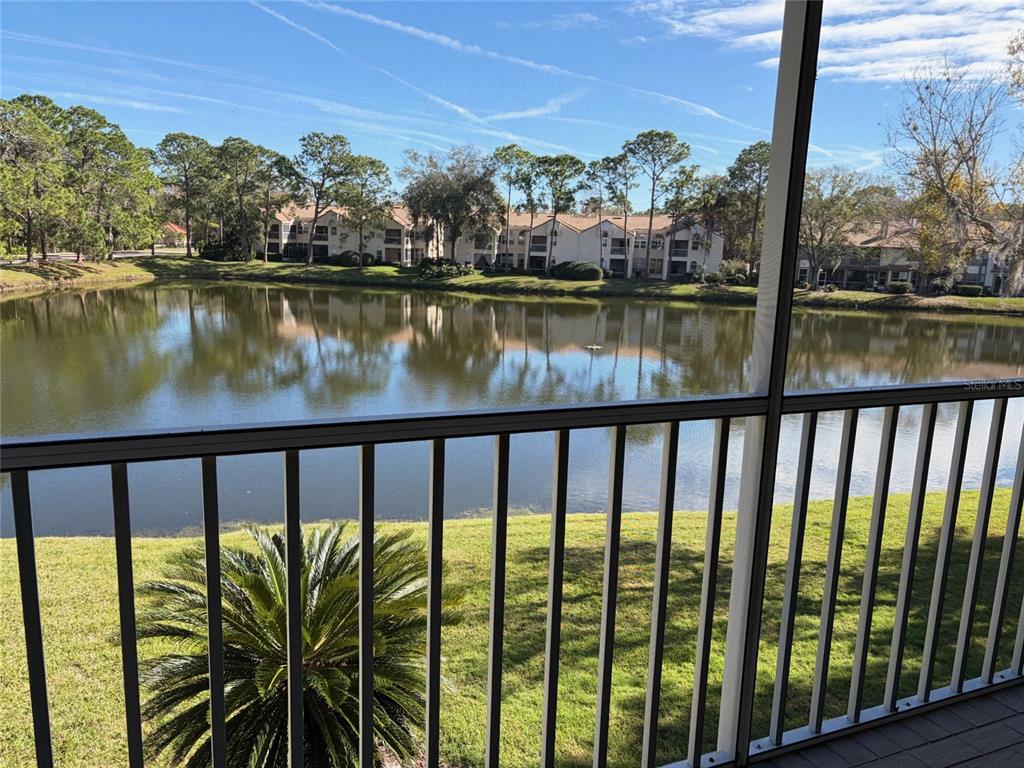 1227 Clays Trail Oldsmar, FL 34677 - Photo 2 of 37 a view of lake from balcony