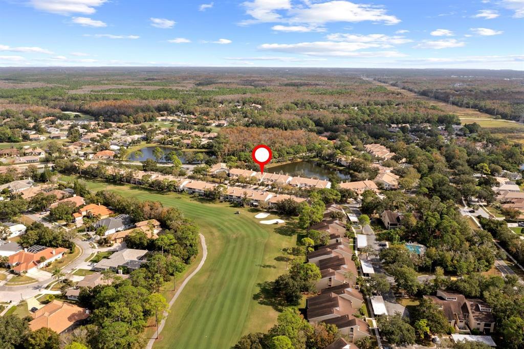 1227 Clays Trail Oldsmar, FL 34677 - Photo 30 of 37 an aerial view of city and lake