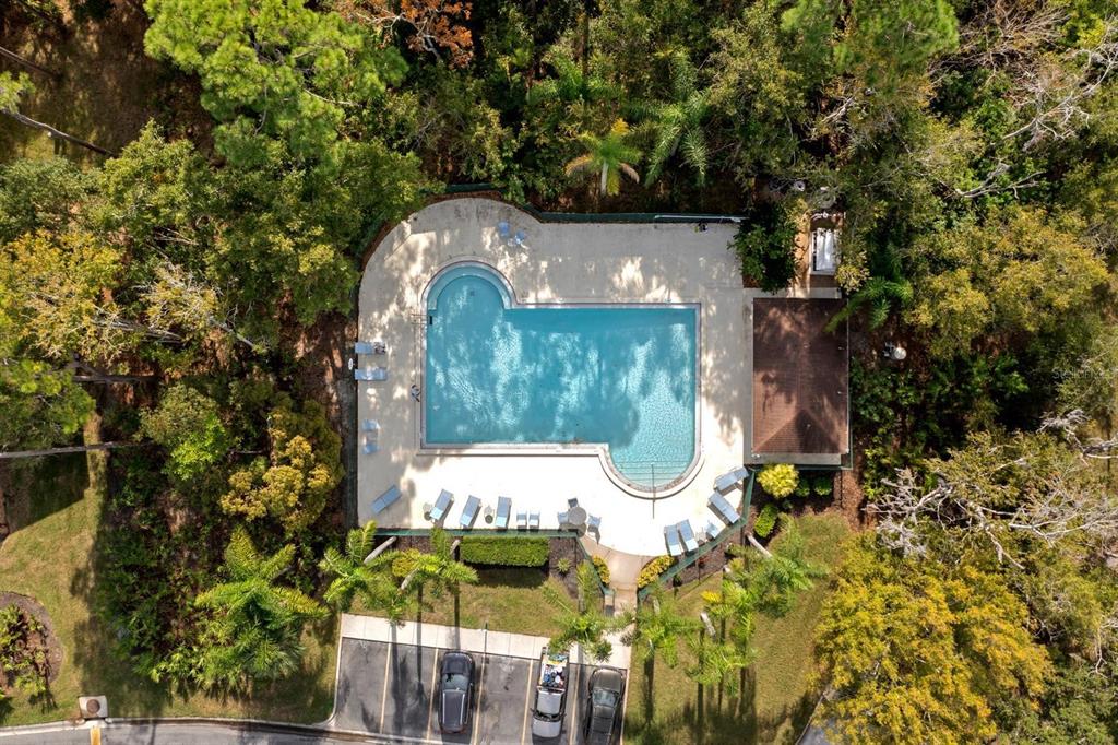 1227 Clays Trail Oldsmar, FL 34677 - Photo 31 of 37 a picture of a yard