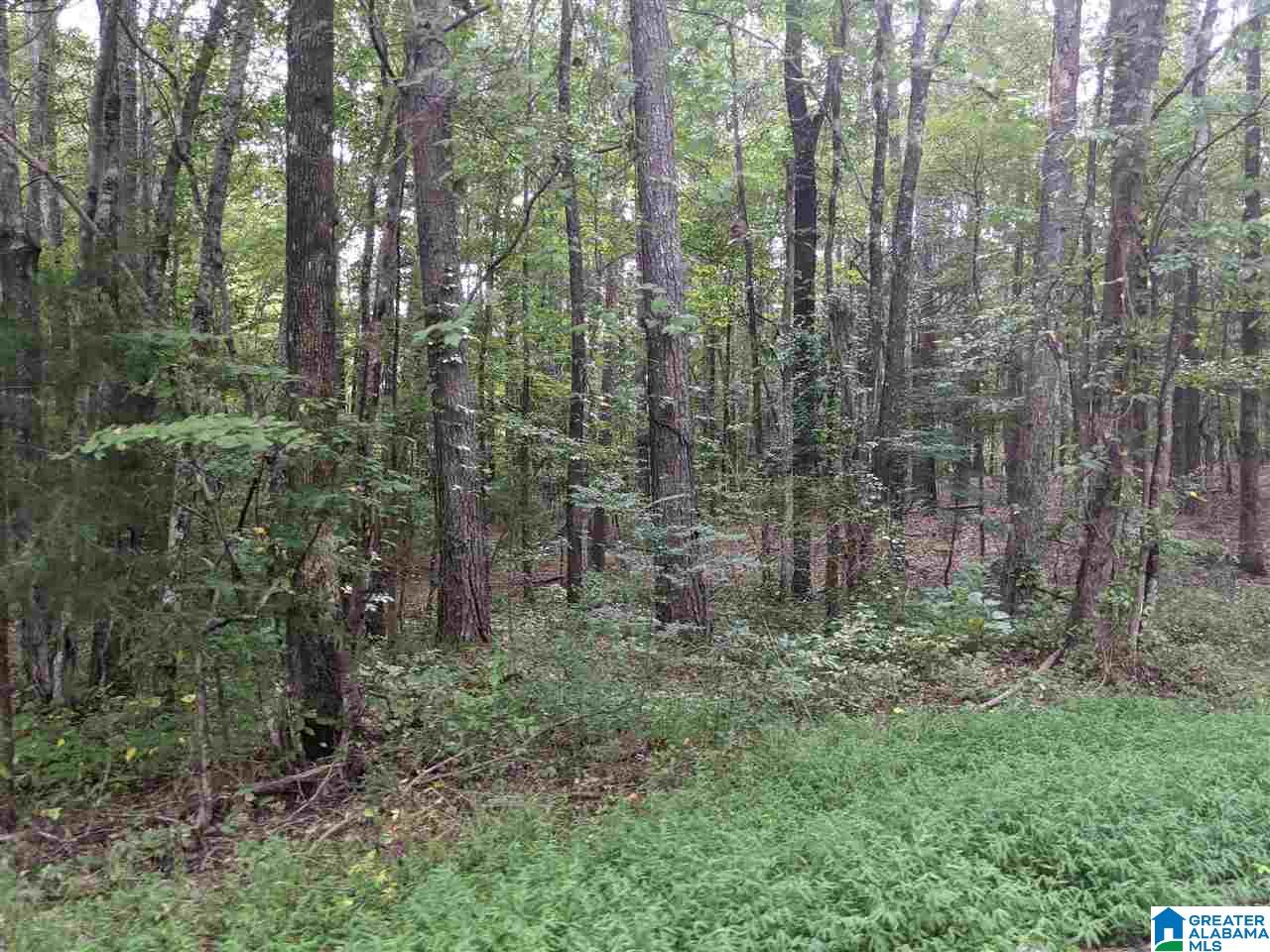 0 Smith Avenue, Unit 3 2 Anniston, AL 36207 - Photo 36 of 43
