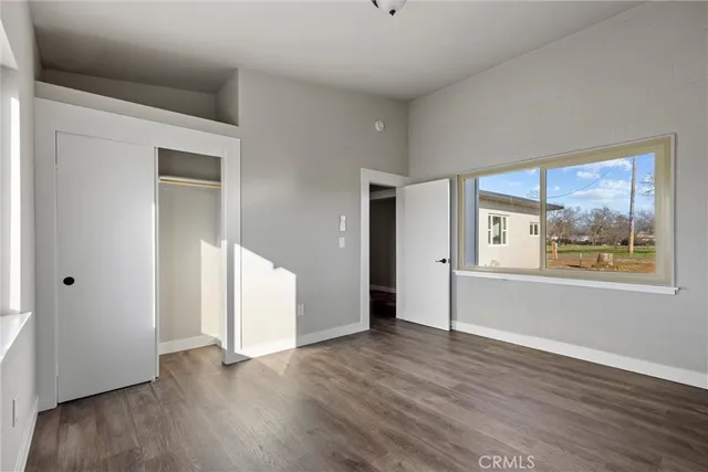 a view of a large trees with an ocean beach