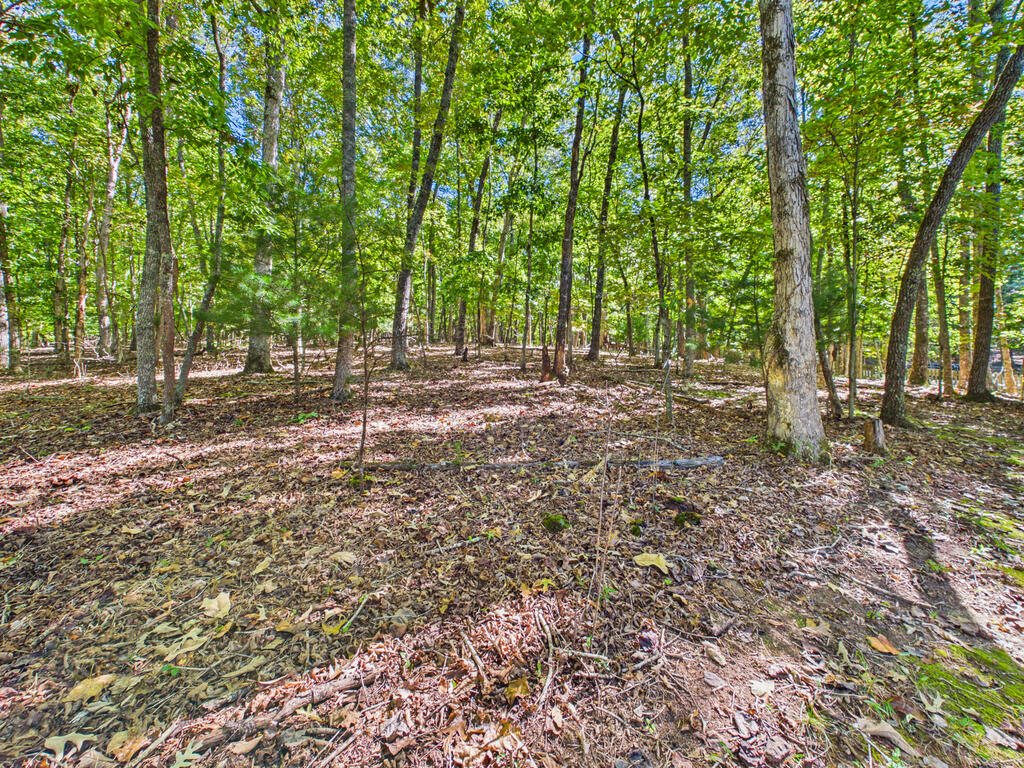 654 Ford Road Warne, NC 28909 - Photo 51 of 61 Gallery Image 51