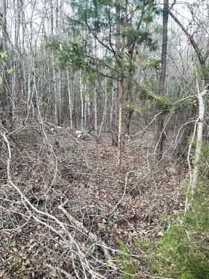 0 Pebble Cove Road Abbeville, AL 36310 - Photo 4 of 5