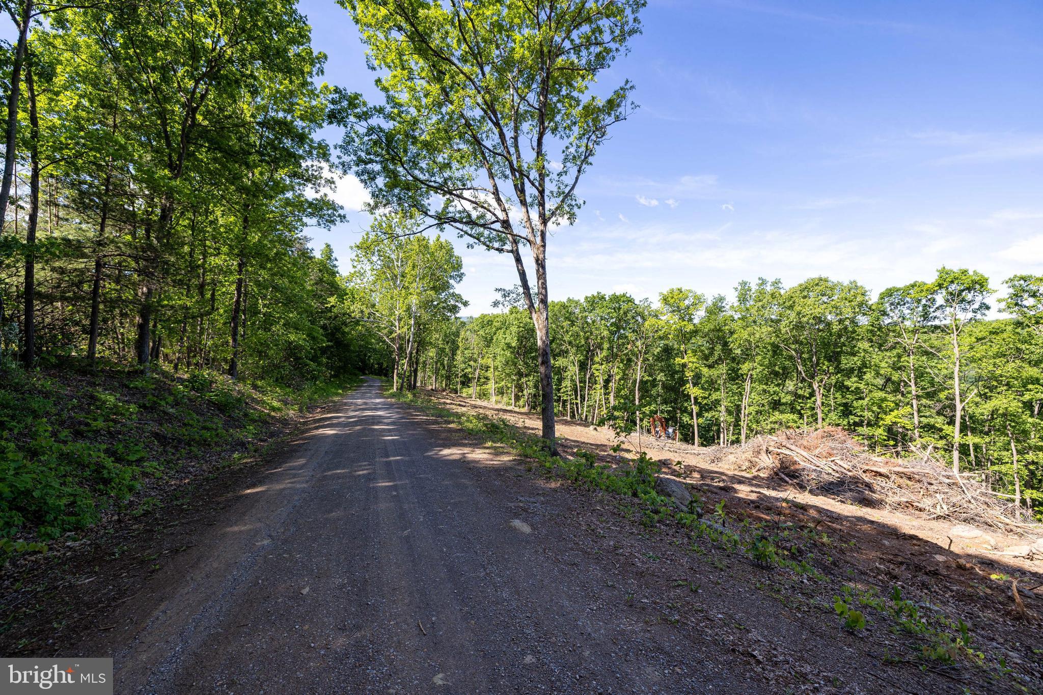 0 Cross Mountain Road Luray, VA 22835 - Photo 35 of 51