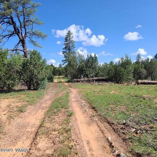 3091 Highway 277 Overgaard, AZ 85933 - Photo 2 of 34