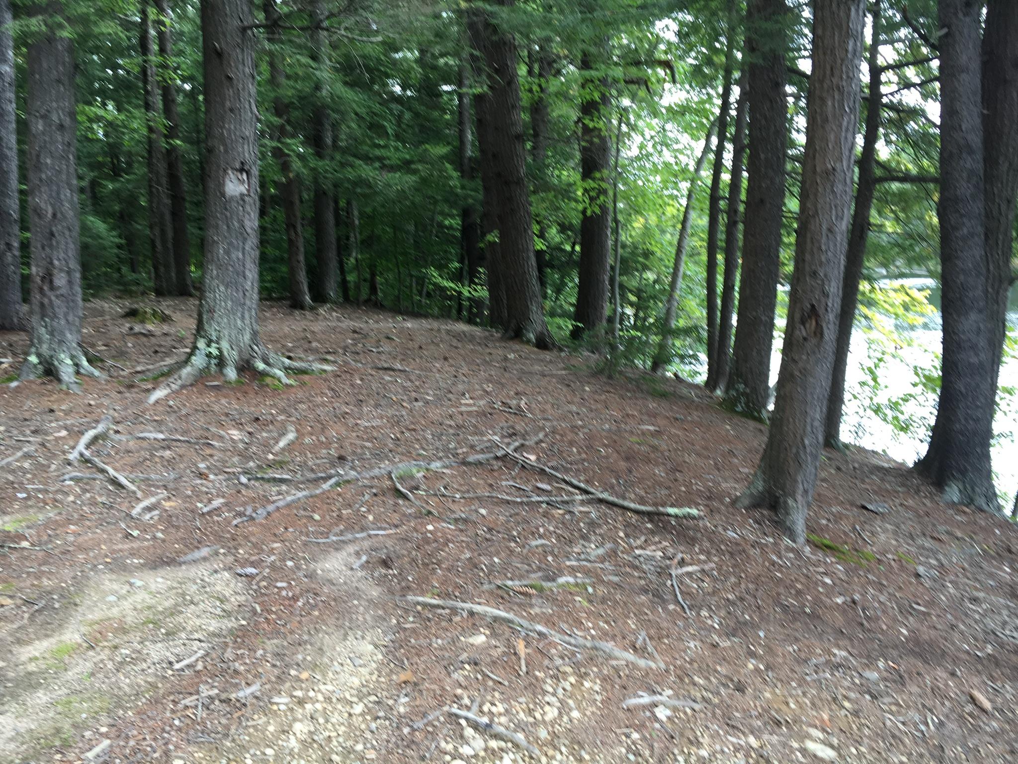 47-acres New Dam Road Limerick, ME 04048 - Photo 19 of 22 E3C8A6BC-673F-4BD3-9EC6-FFD0B6A548E7