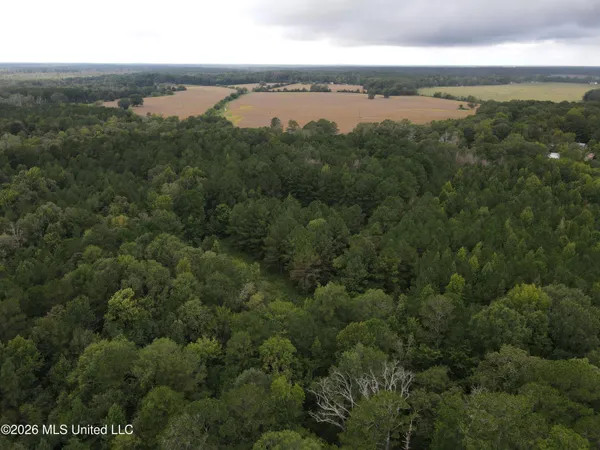 $127,500 | Ms-35, Forest, MS 39074