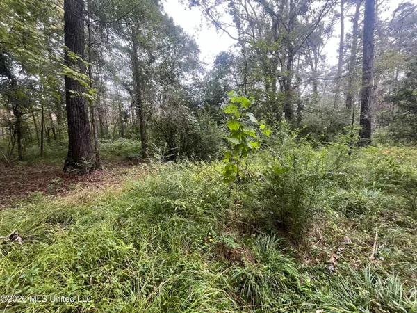 $127,500 | Ms-35, Forest, MS 39074