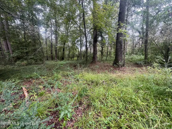 $127,500 | Ms-35, Forest, MS 39074
