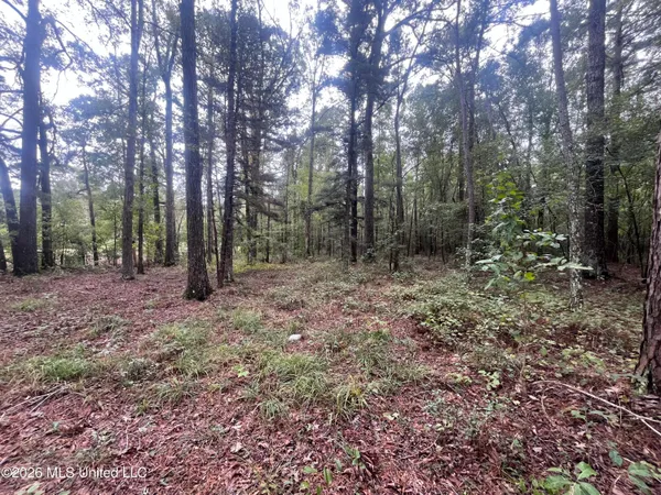$127,500 | Ms-35, Forest, MS 39074