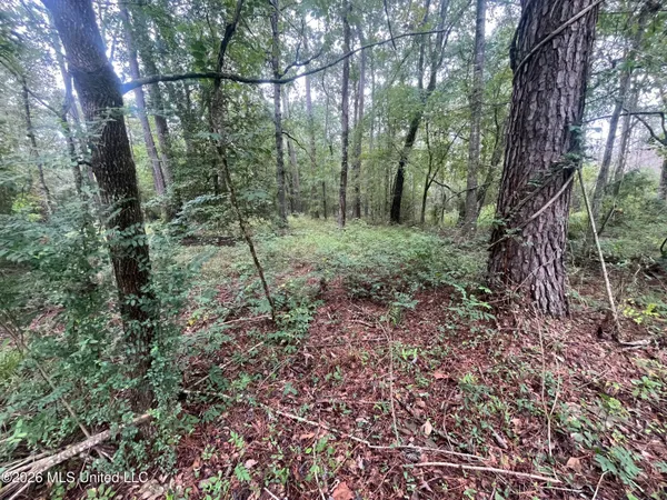 $127,500 | Ms-35, Forest, MS 39074