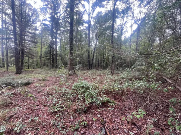 $127,500 | Ms-35, Forest, MS 39074