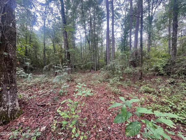 $127,500 | Ms-35, Forest, MS 39074