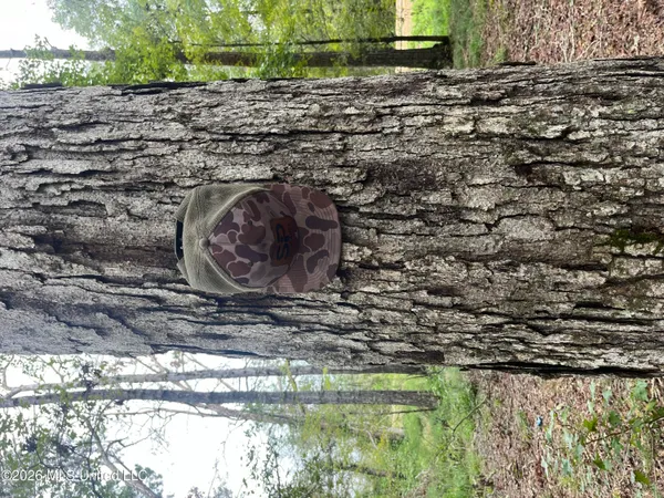 $127,500 | Ms-35, Forest, MS 39074