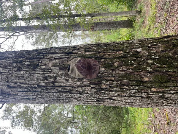 $127,500 | Ms-35, Forest, MS 39074