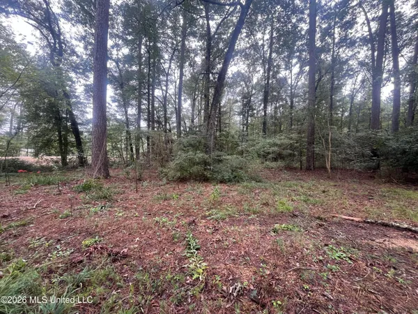 $127,500 | Ms-35, Forest, MS 39074