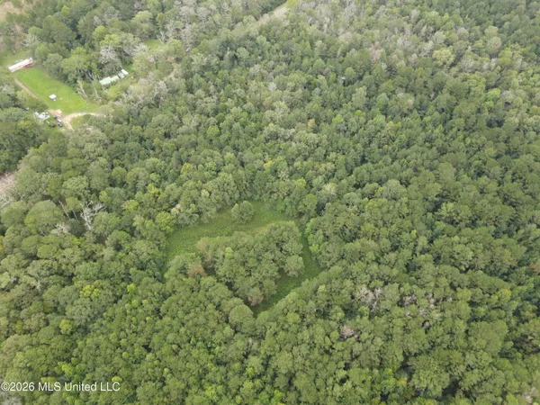 $127,500 | Ms-35, Forest, MS 39074