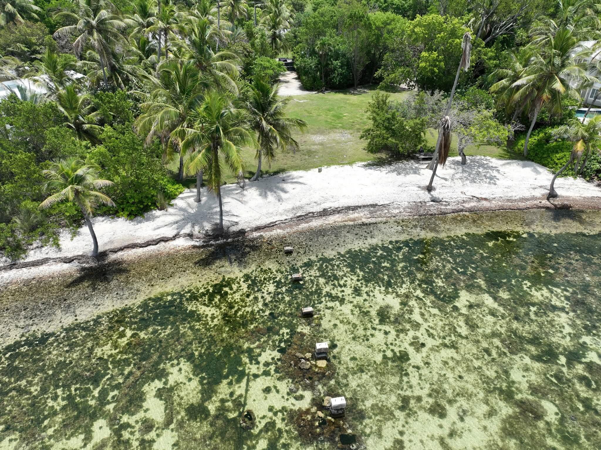 41 Sunset Road Key Largo, FL 33037 - Photo 11 of 61 54 Aerial beach