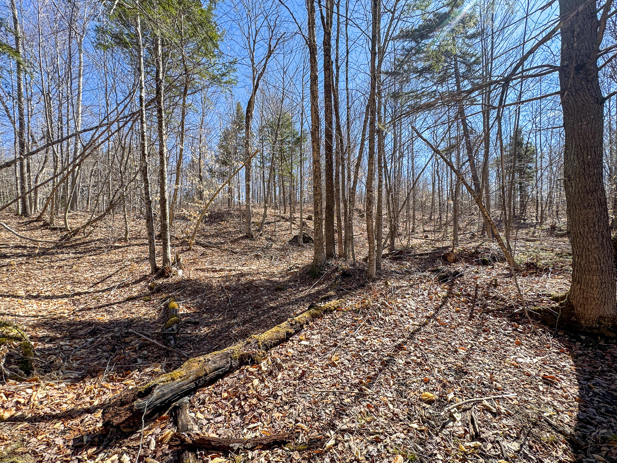 792 Valley Road Anson, ME 04911 - Photo 22 of 30 IMG_3885
