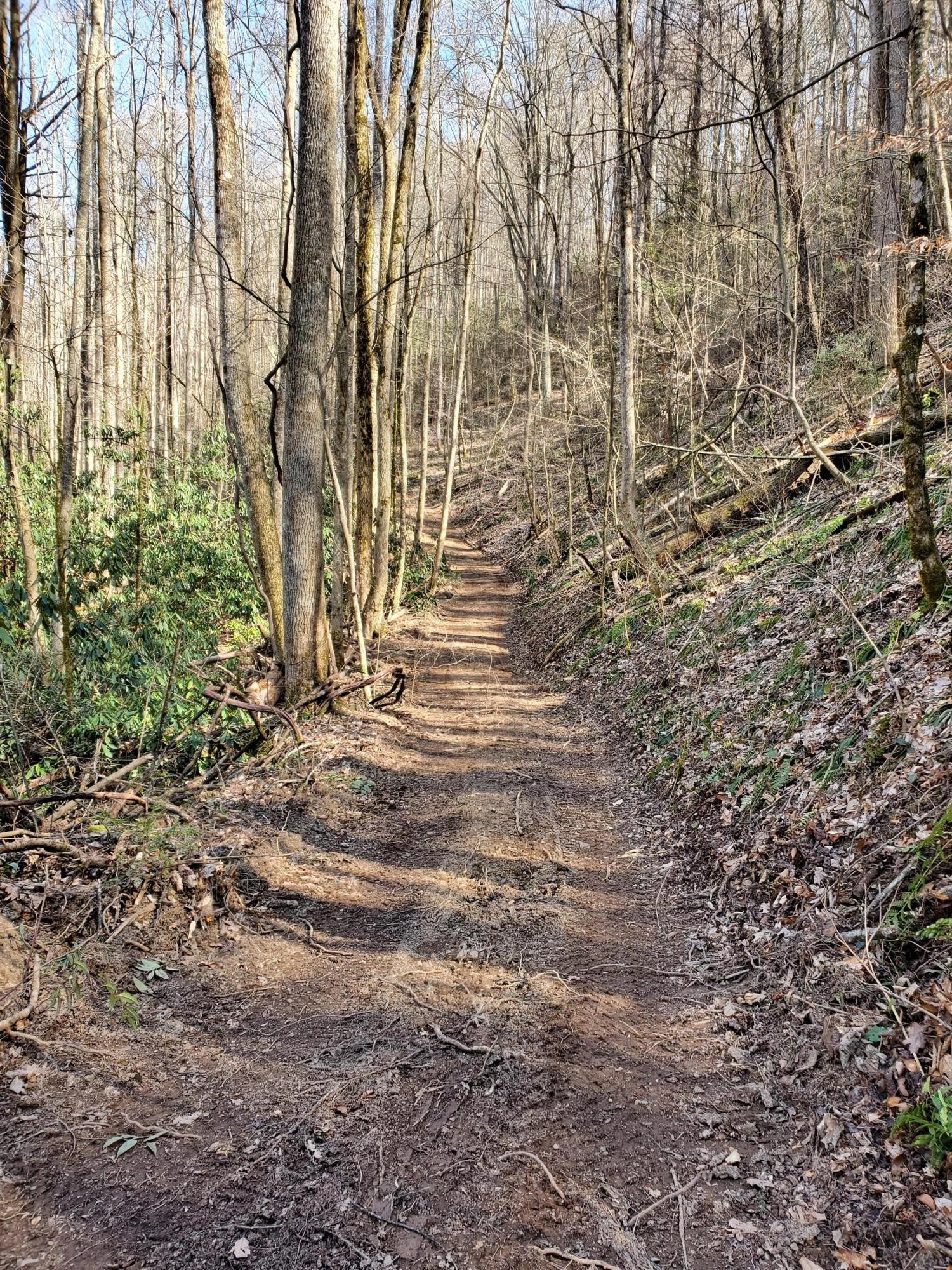 3036 Redtail Road Sevierville, TN 37862 - Photo 17 of 24
