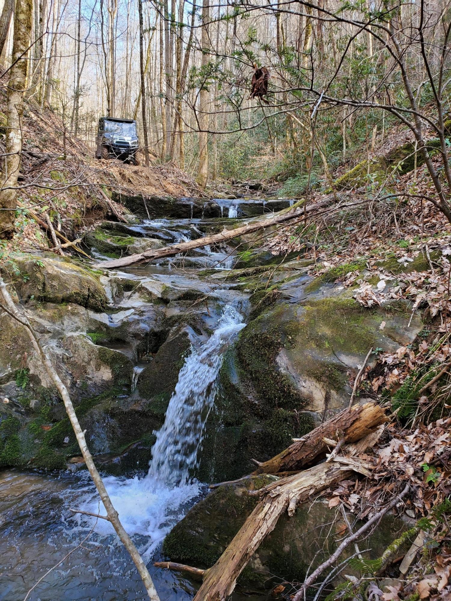 3036 Redtail Road Sevierville, TN 37862 - Photo 3 of 24 a view of a backyard of a house
