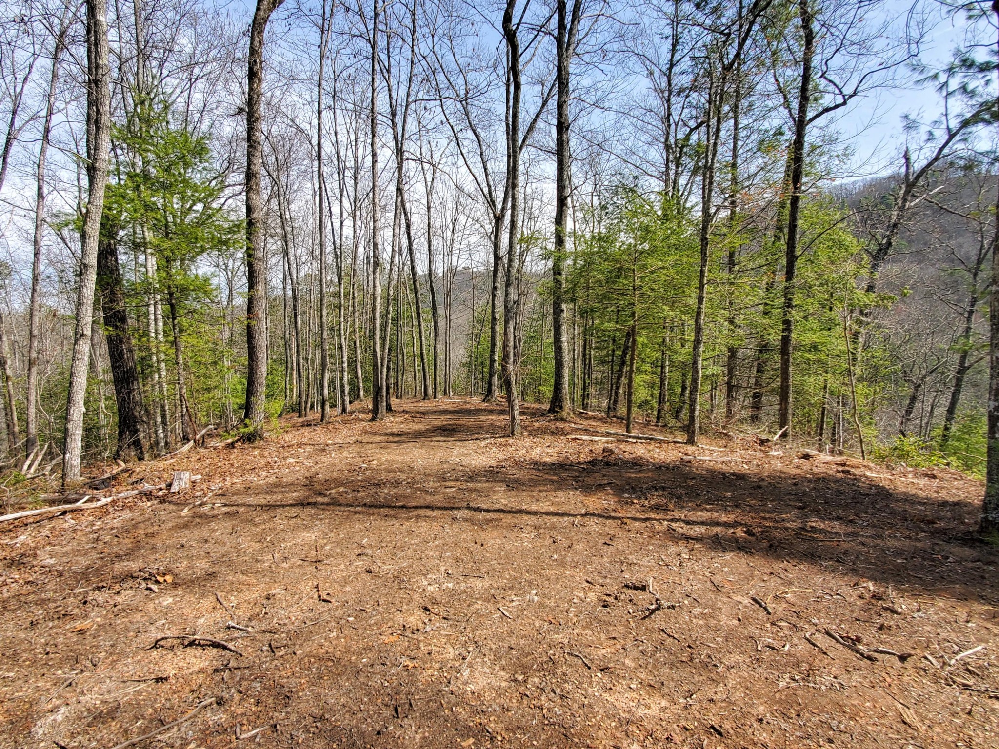 3036 Redtail Road Sevierville, TN 37862 - Photo 8 of 24 a view of backyard space