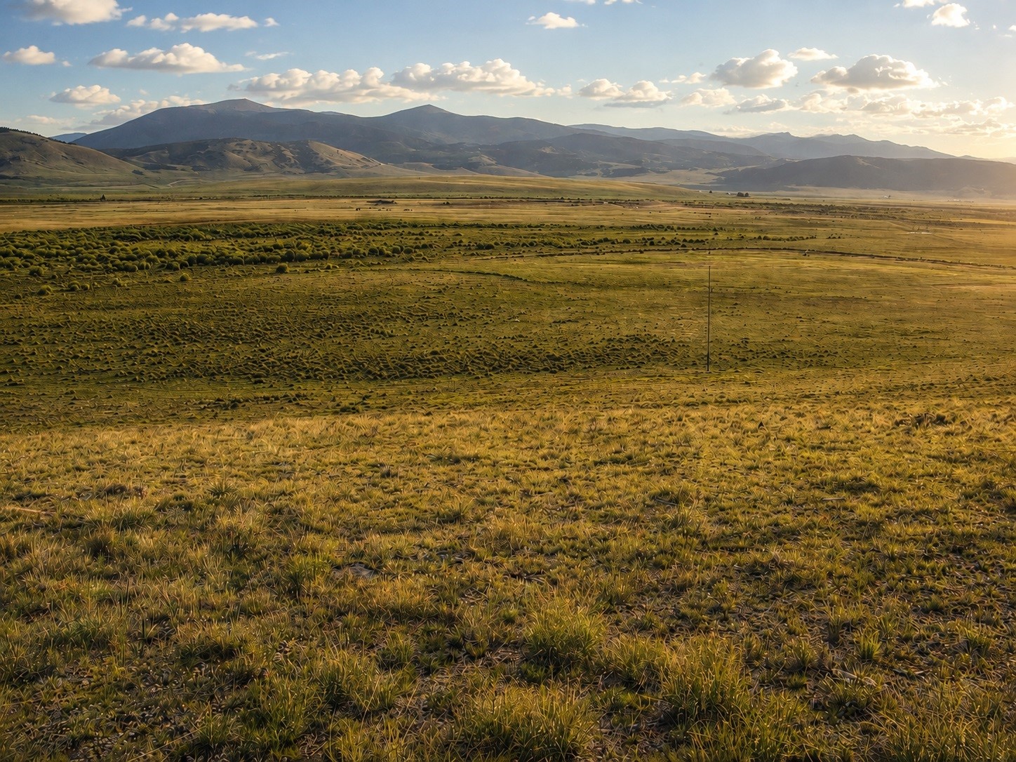 1327 Michigan Hill Road Jefferson, CO 80456 - Photo 3 of 9