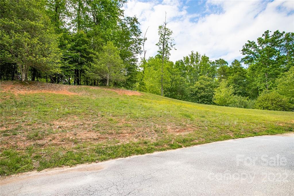 Tbd Cadence Circle, Unit THREE DEVELOPER LOTS Brevard, NC 28712 - Photo 15 of 16 a view of a yard with an outdoor space