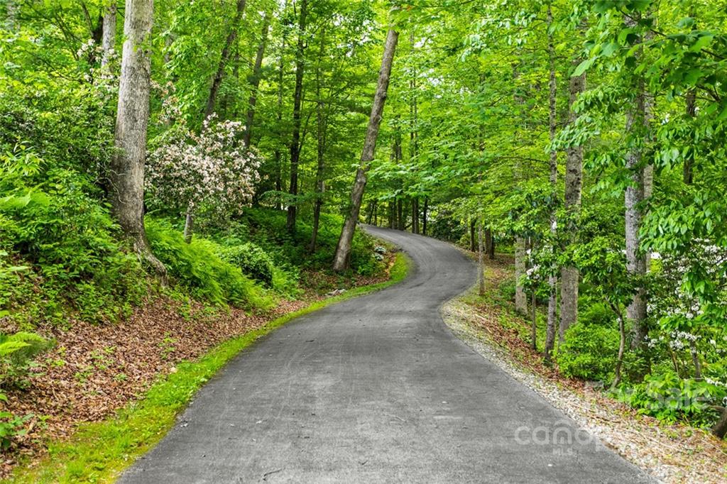 Tbd Cadence Circle, Unit THREE DEVELOPER LOTS Brevard, NC 28712 - Photo 3 of 16 a view of a pathway both side of yard